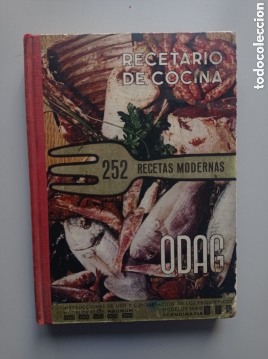 Libros de segunda mano: RECETARIO DE COCINA R INSTRUCCIONES DE USO FRIGOR&Iacute;FICOS ODAG