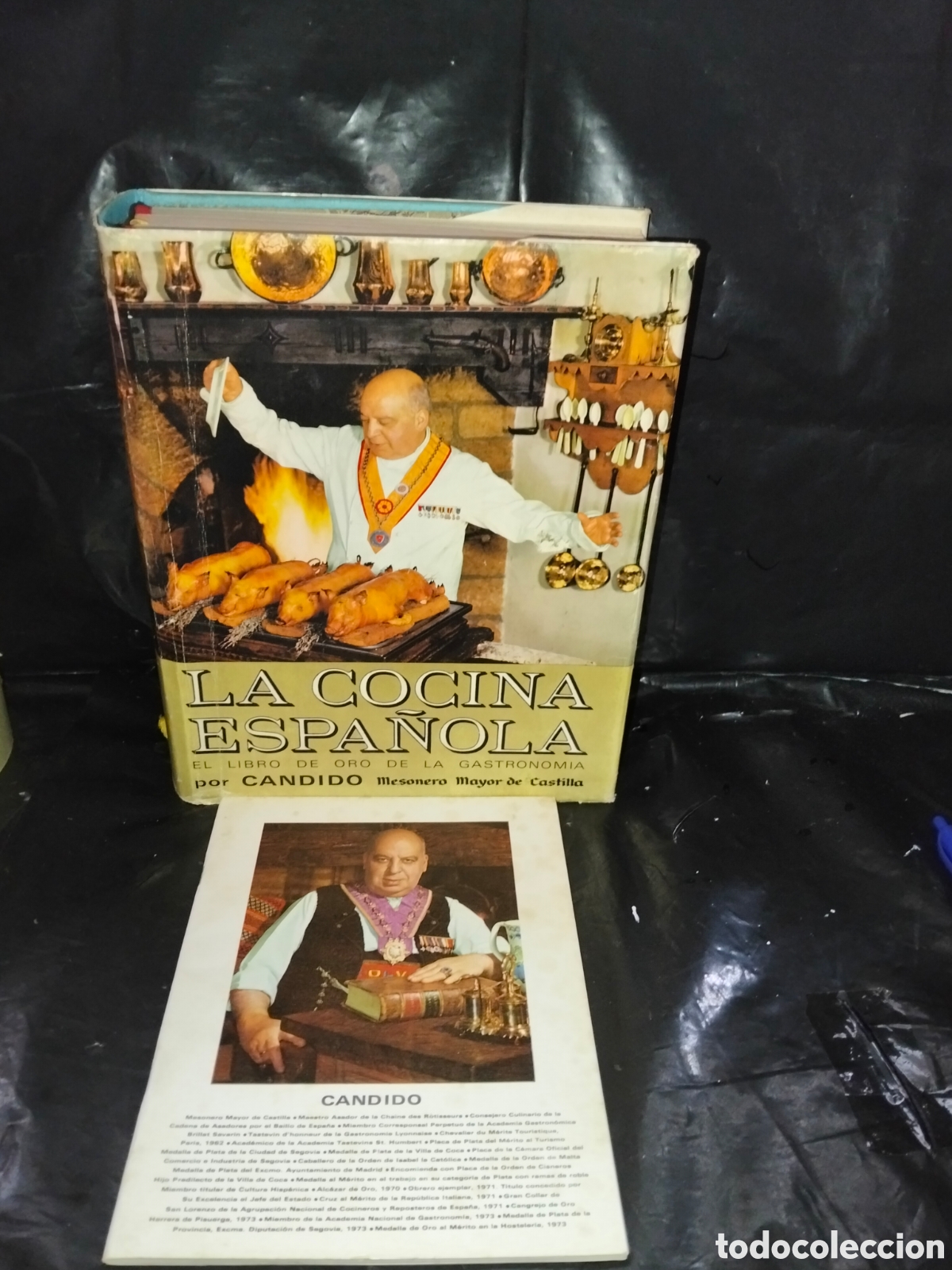 Libros de segunda mano: C&Aacute;NDIDO. LA COCINA ESPA&Ntilde;OLA.( EL LIBRO DE ORO DE LA GASTRONOM&Iacute;A). PLAZA JANES