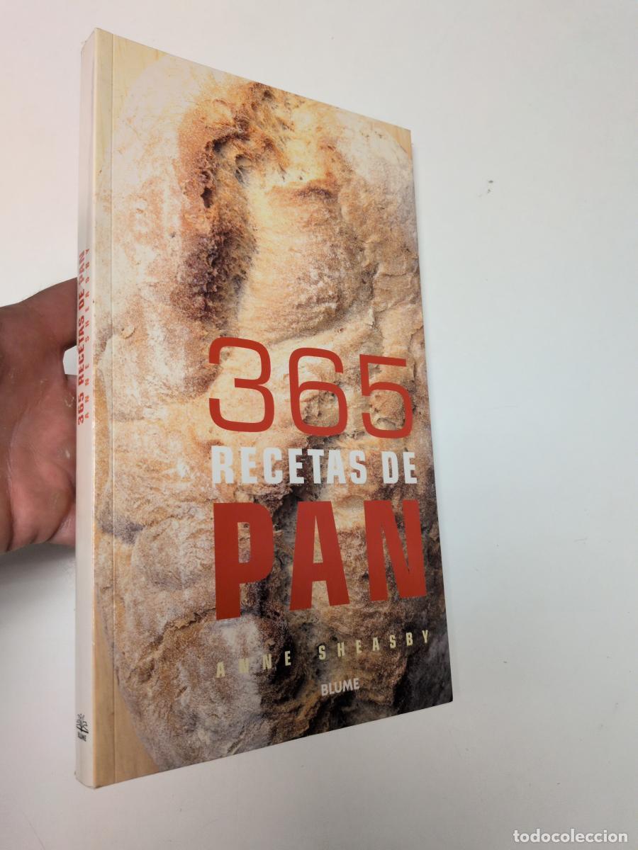 Libros de segunda mano: 365 Recetas de pan - Sheasby, Anne
