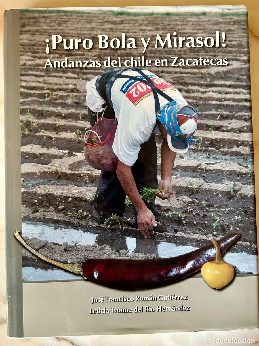 Libros de segunda mano: &iexcl;PURO BOLA Y MIRASOL! ANDANZAS DEL CHILE EN ZACATECAS &ndash; M&Eacute;XICO &ndash; INCLUYE RECETAS DE COCINA