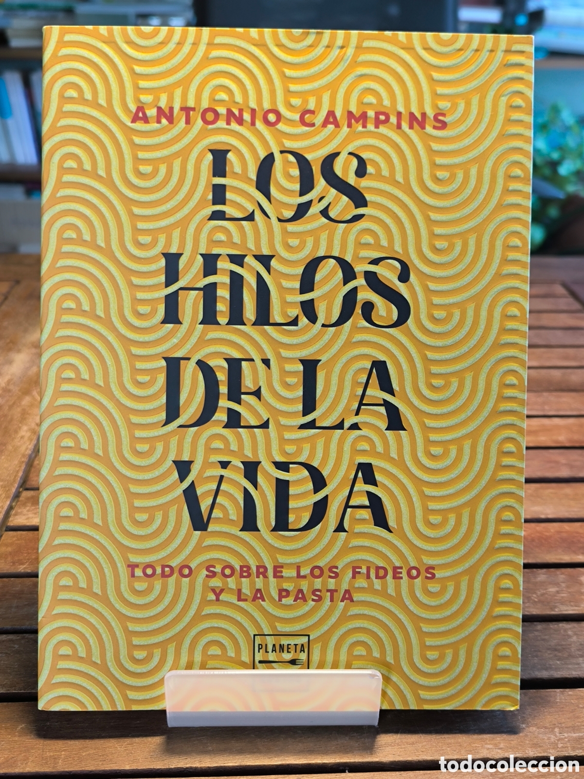 Libros de segunda mano: Los hilos de la vida Todo sobre los fideos y la pasta Antonio Campins 2026