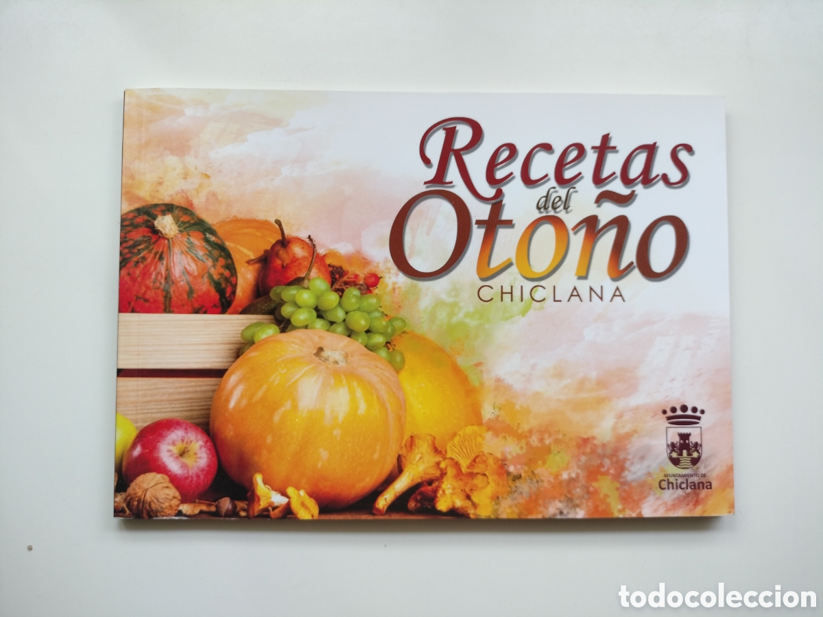 Libros de segunda mano: RECETAS DE OTO&Ntilde;O. CHICLANA DE LA FRONTERA. C&Aacute;DIZ. COCINA TRADICIONAL. Recetario