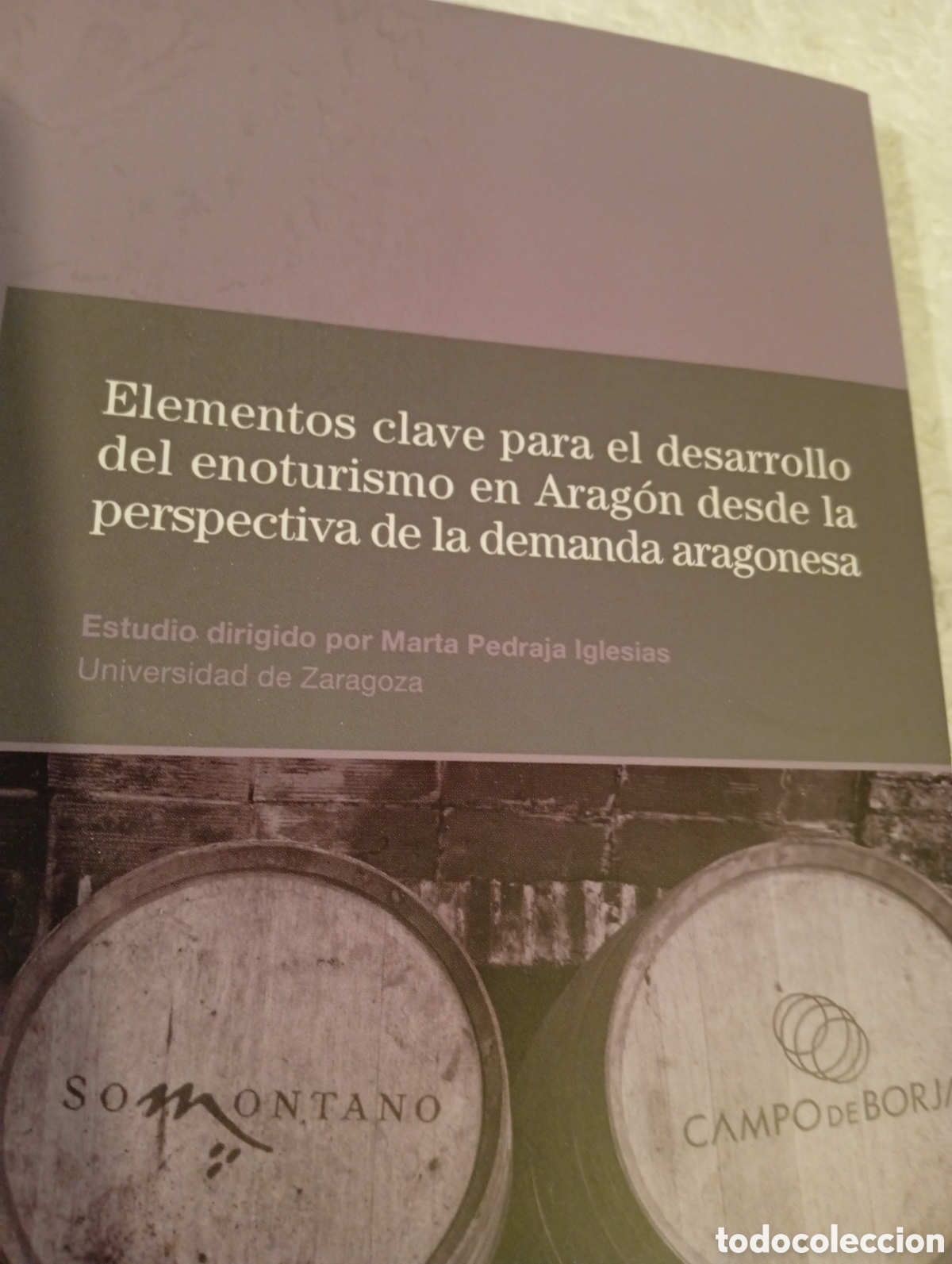 Libros de segunda mano: ELEMENTOS CLAVE PARA EL DESARROLLO DEL ENOTURISMO EN ARAG&Oacute;N DESDE LA PERSPECTIVA DEMANDA ARAGONESA