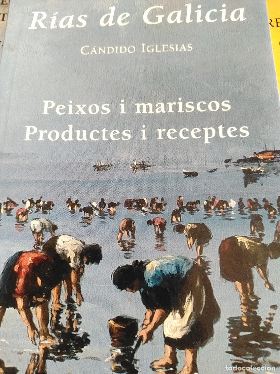 Libros de segunda mano: RIAS DE GALICIA - CANDIDO IGLESIAS
