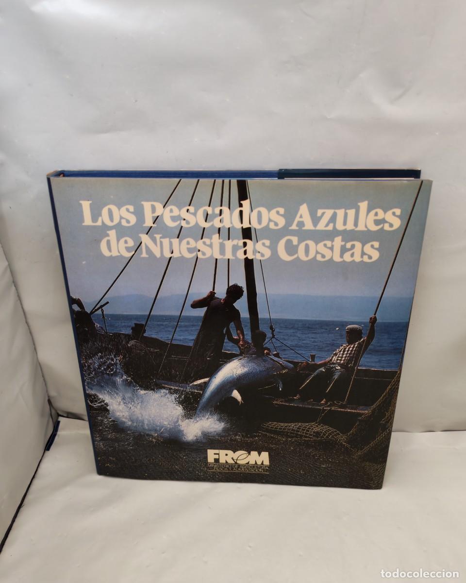 Libros de segunda mano: Los Pescados Azules de Nuestras Costas (Primera Edici&oacute;n, Tapa Dura)