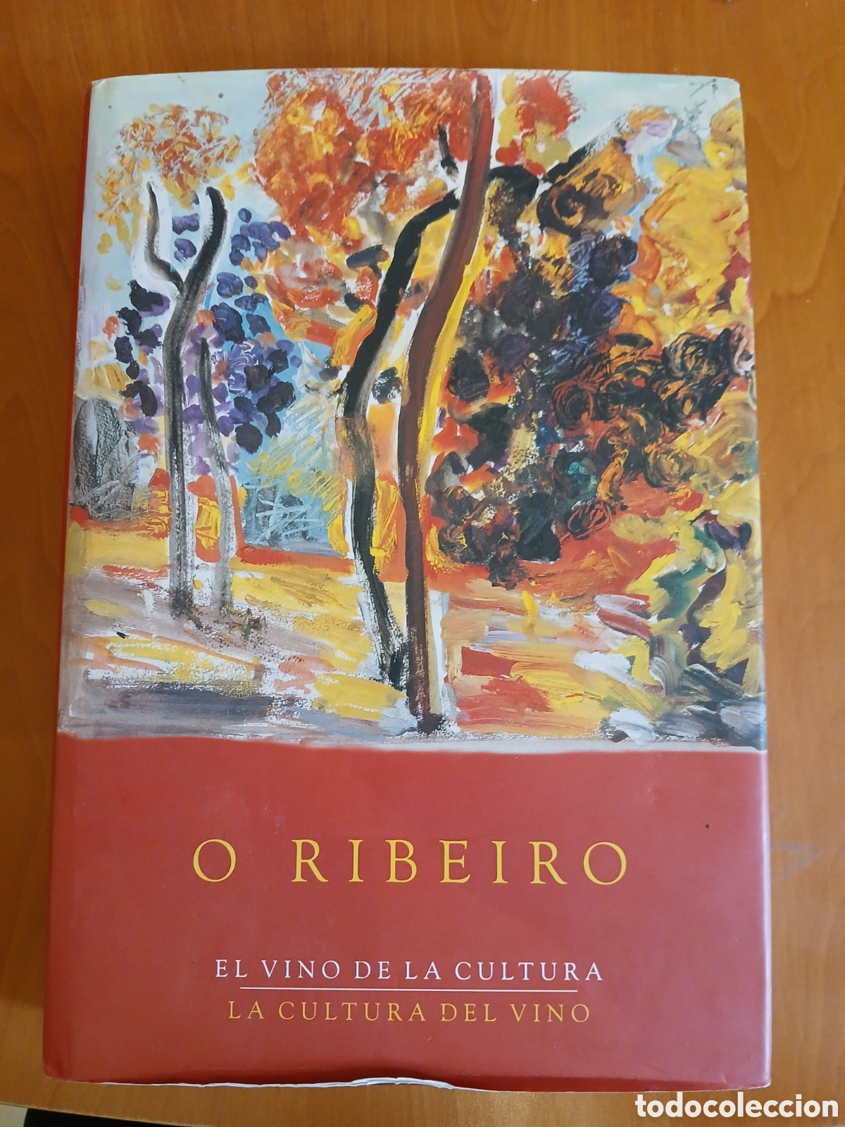 Libros de segunda mano: O Ribeiro. Varios Autores.