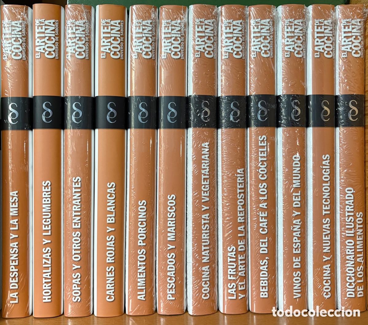 Libros de segunda mano: (L*042*) Colecci&oacute;n 12 Tomos &rdquo;El Arte de la Cocina: Universo de Sabores&rdquo; - Signo Editores (2011)