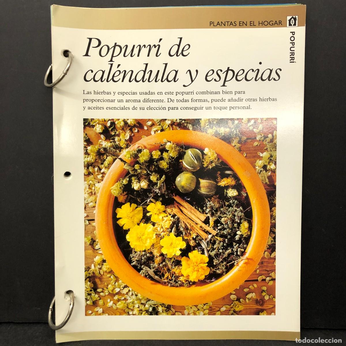 Libros de segunda mano: POPURR&Iacute; DE CAL&Eacute;NDULA Y ESPECOAS - PLANTAS DEL HOGAR / 6725
