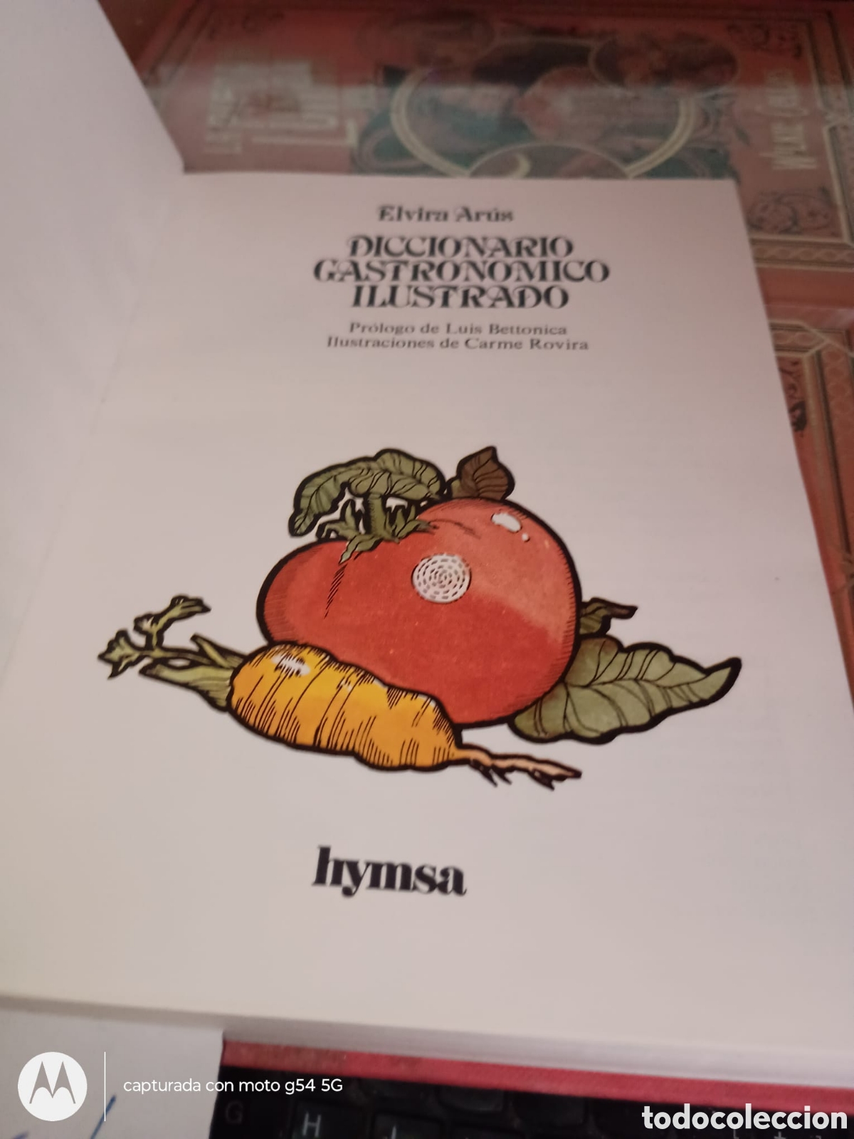 Livres d'occasion: DICCIONARIO GASTRONOMICO ILUSTRADO ELVIRA ARUS RF405