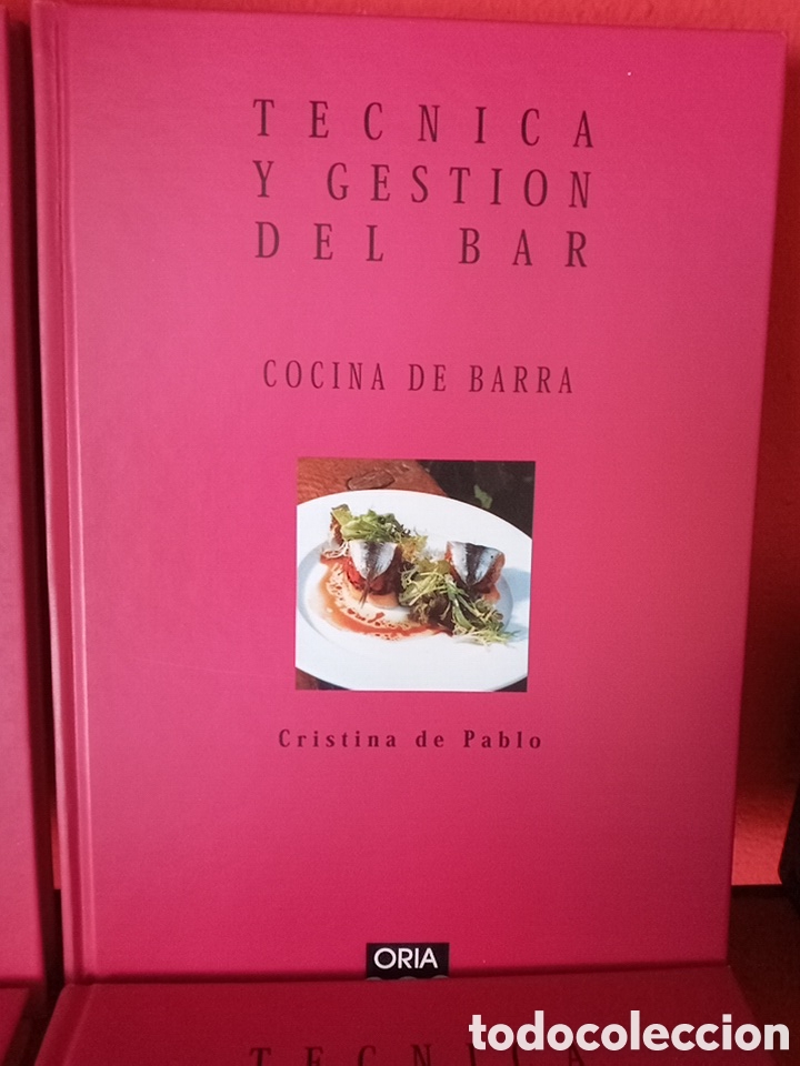Libros de segunda mano: T&Eacute;CNICAS Y GESTI&Oacute;N DEL BAR