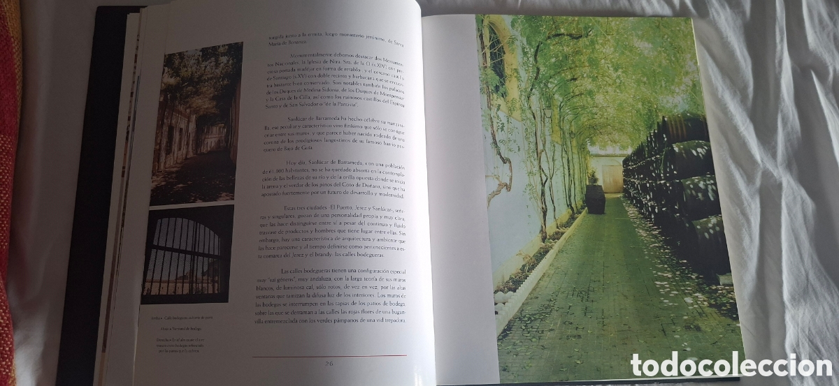 Libros de segunda mano: EL LIBRO DEL BRANDY DE JEREZ - Foto 5