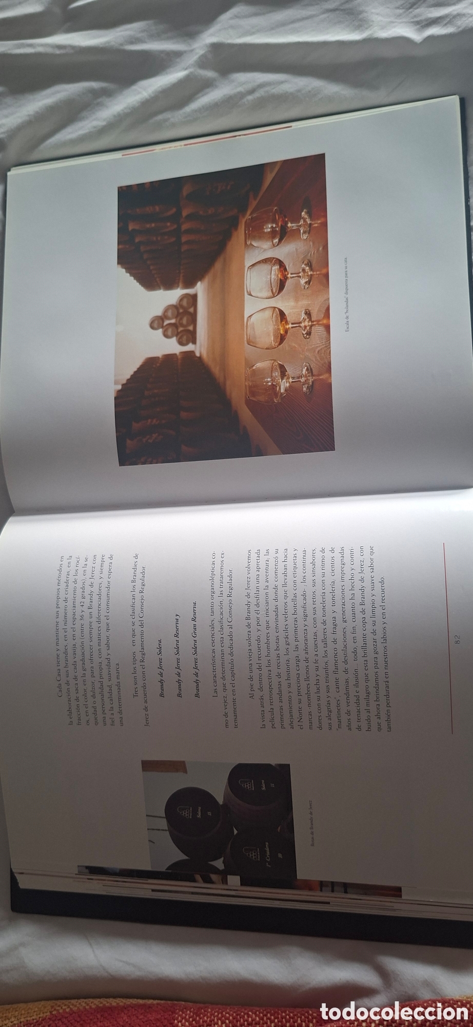 Libros de segunda mano: EL LIBRO DEL BRANDY DE JEREZ - Foto 7