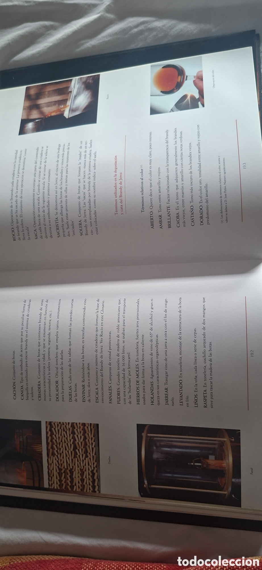 Libros de segunda mano: EL LIBRO DEL BRANDY DE JEREZ - Foto 10