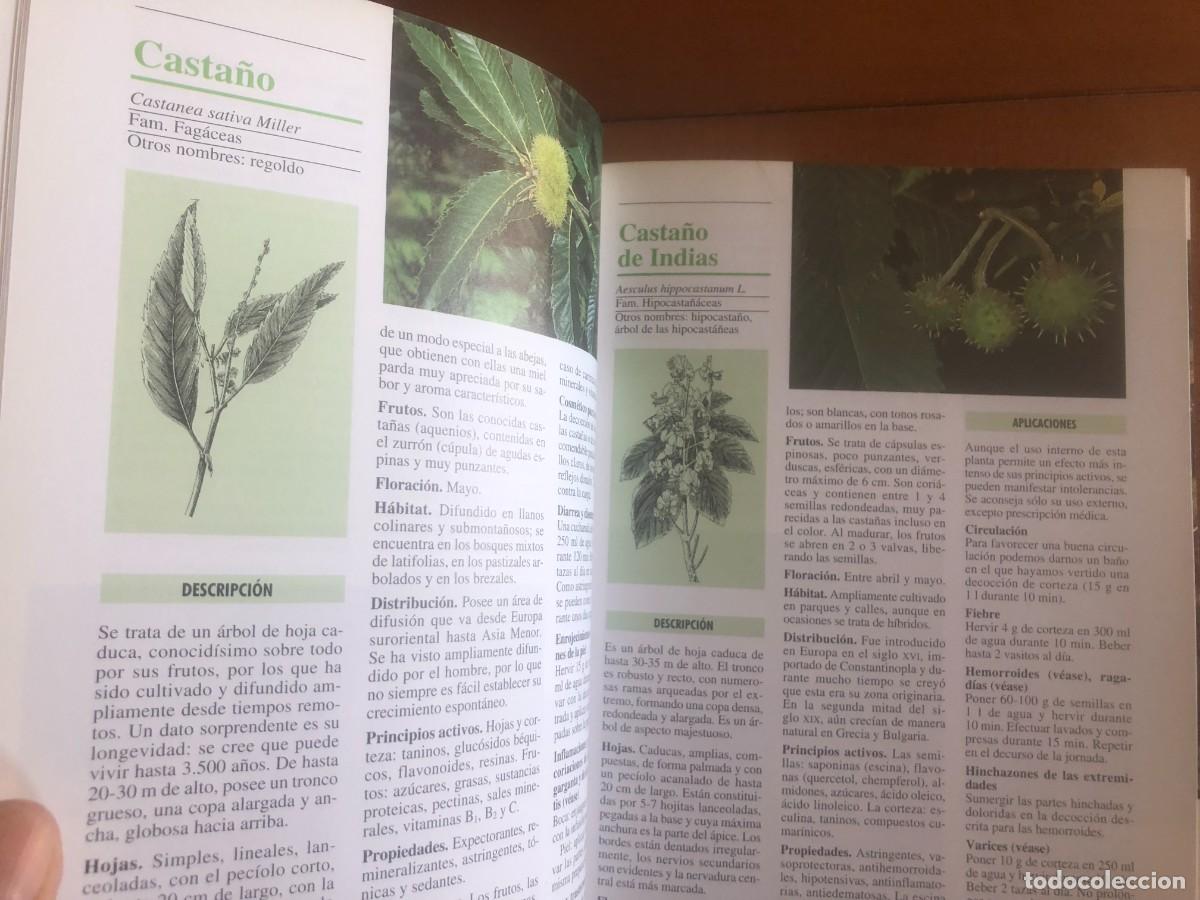 Libros de segunda mano: El herbario de la salud - Foto 5