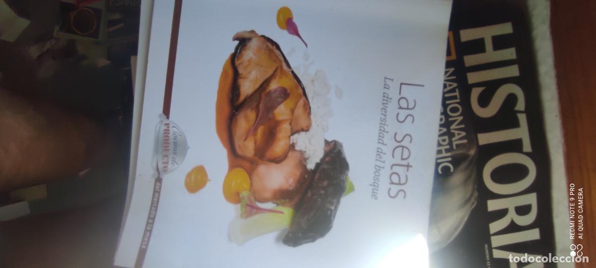 Libros de segunda mano: cocina de producto. Setas