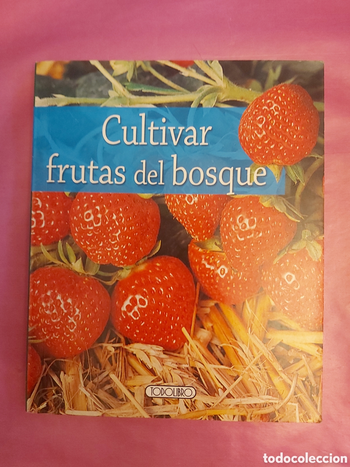 Libros de segunda mano: CULTIVAR FRUTAS DEL BOSQUE TODOLIBRO MICHELE Y JEAN CLAUDE LAMONTAGNE