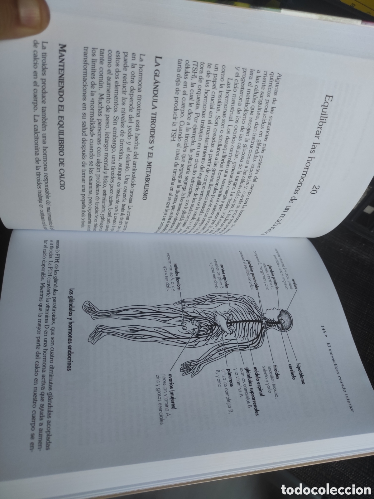 Libros de segunda mano: El libro de la nutrici&oacute;n &oacute;ptima - Patrick Holford - Foto 4