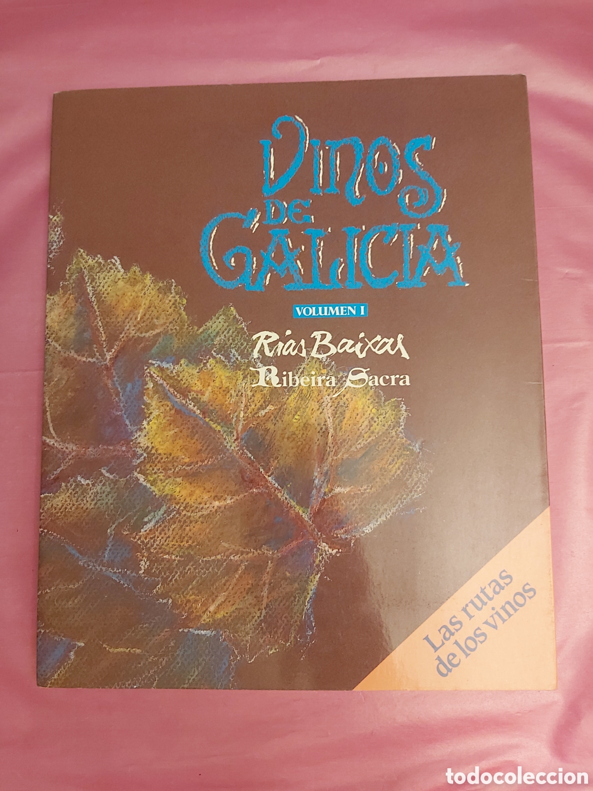 Libros de segunda mano: VINOS DE GALICIA RIAS BAIXAS RIBEIRA SACRA LAS RUTAS DE LOS VINOS 1994 COLECCI&Oacute;N VIVIR GALICIA