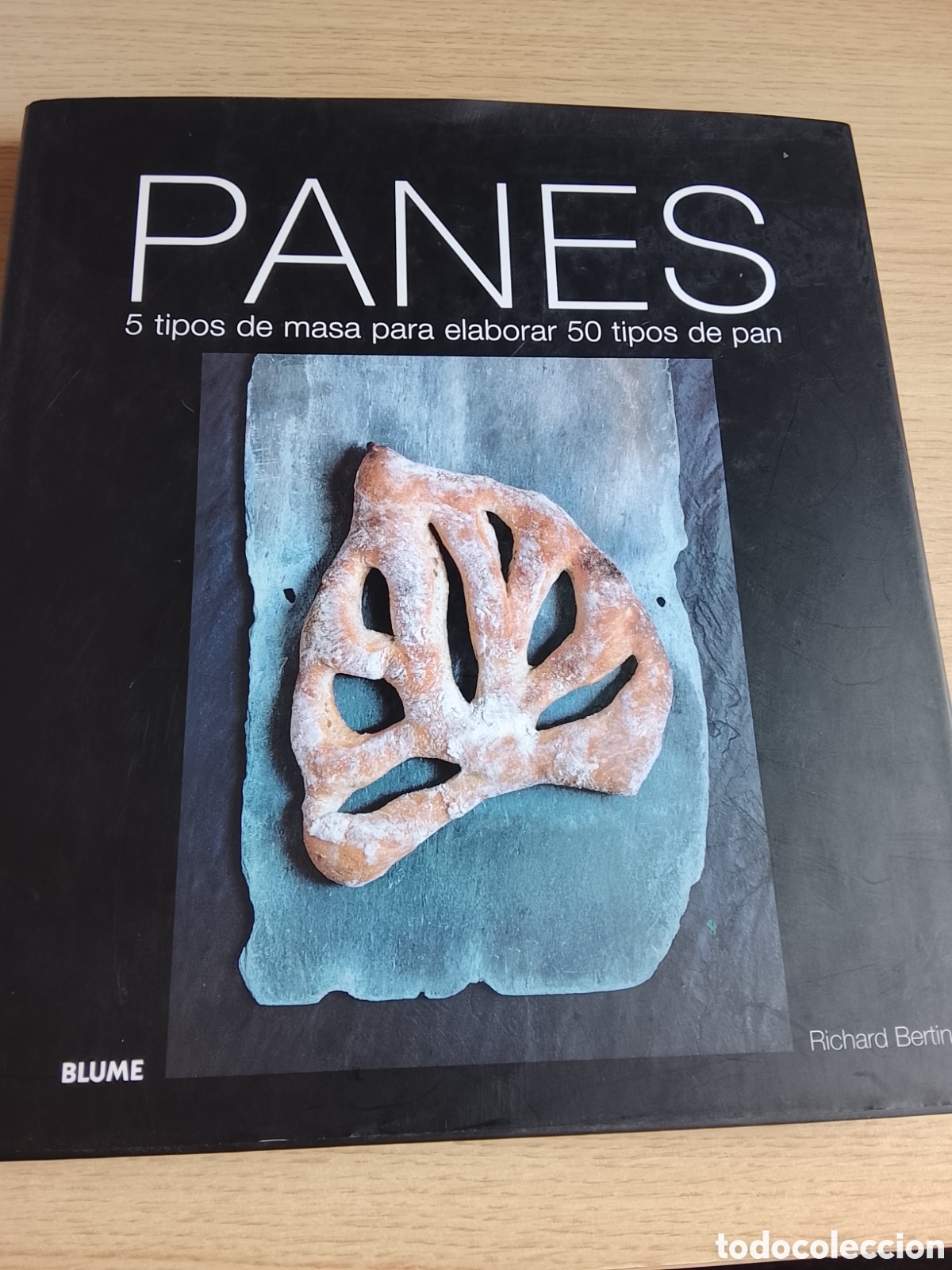 Libros de segunda mano: PANES RICHARD BERTINET - Foto 1