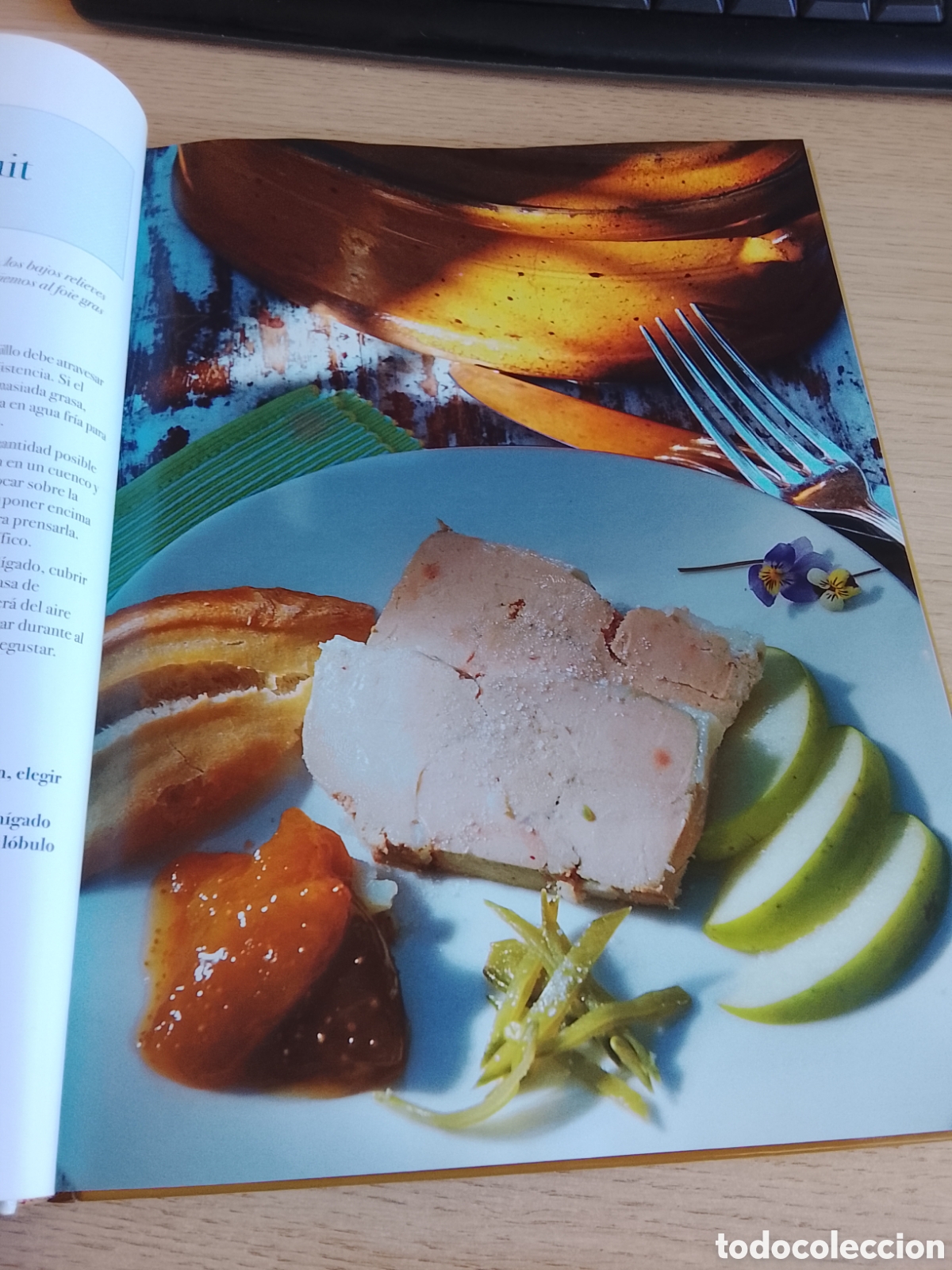 Libros de segunda mano: FOIE GRAS Y CONFITS. - Foto 2