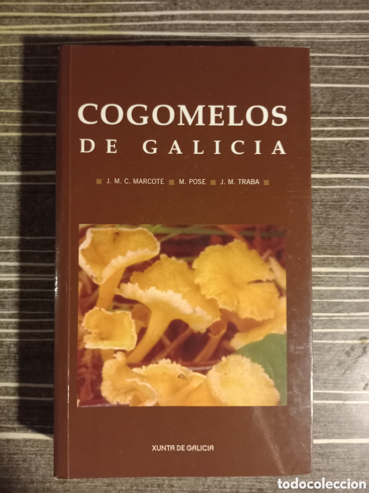 Gebrauchte B&uuml;cher: Cogomelos de Galicia
