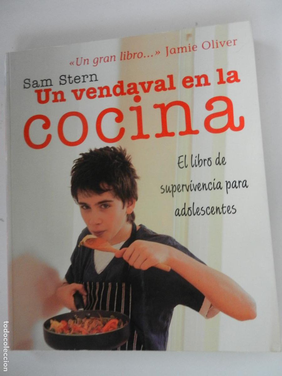 Libros de segunda mano: UN VENDAVAL EN LA COCINA - SAM STERN - LIBRO DE SUPERVIVENCIA PARA ADOLESCENTES -2005