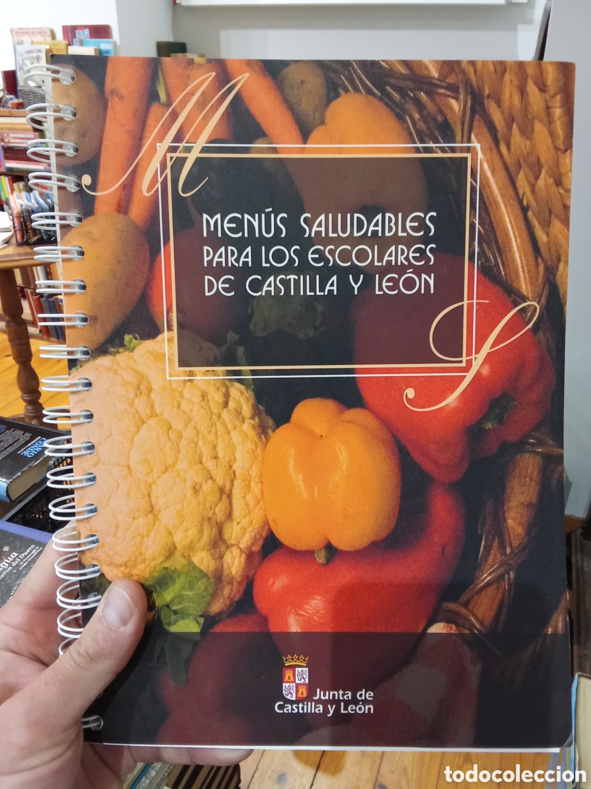 Libros de segunda mano: Men&uacute;s saludables para los escolares de Castilla y Le&oacute;n