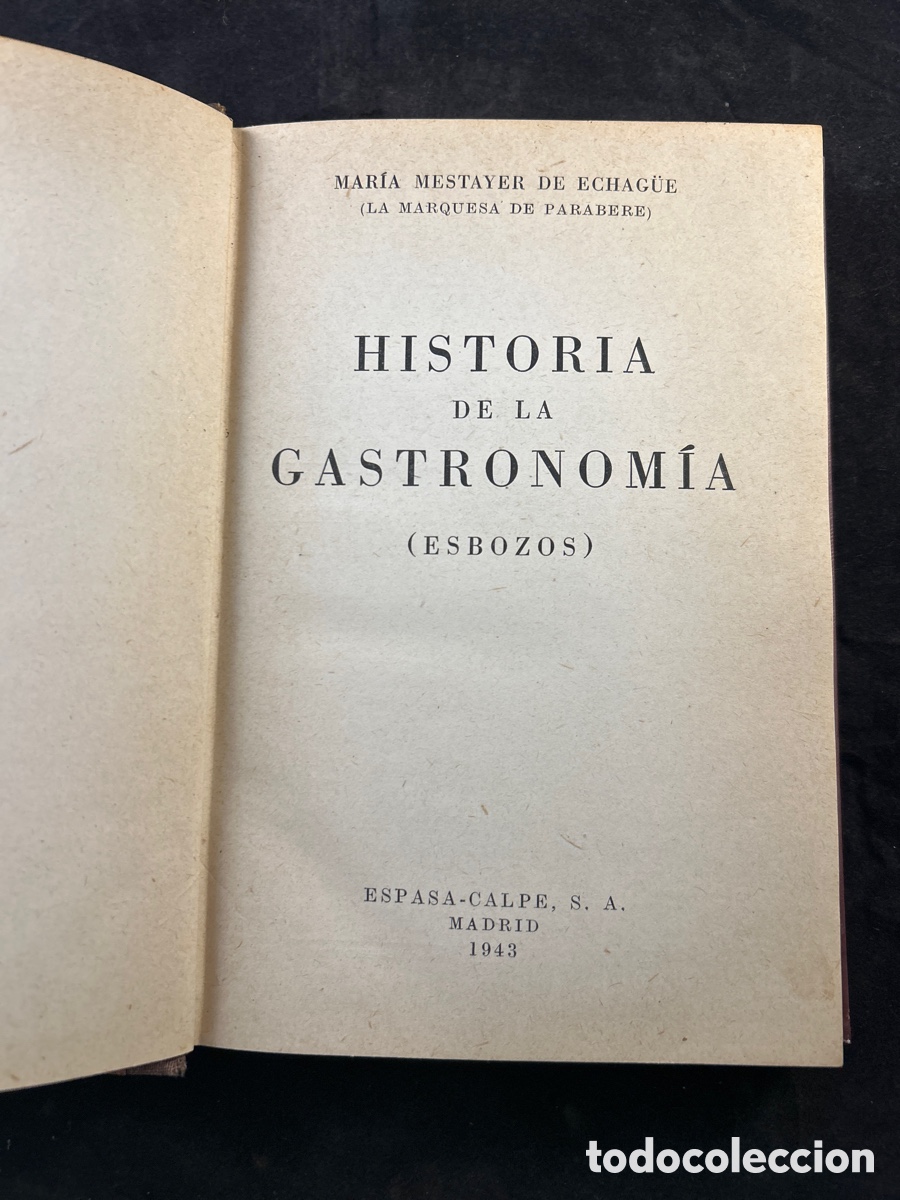 Libros de segunda mano: HISTORIA DE LA GASTRONOM&Iacute;A (ESBOZOS)