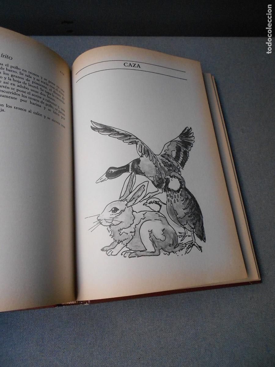 Libros de segunda mano: LA COCINA DE CADA DIA - Foto 9