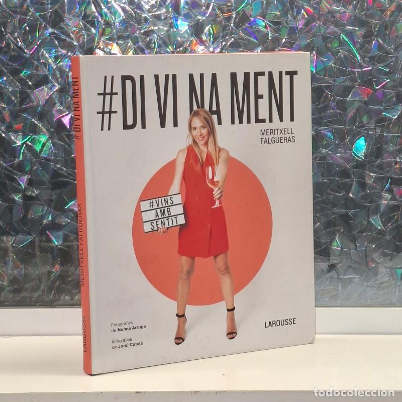 Libros de segunda mano: #DiVInament: #ElViAmbSentit - Meritxell Falgueras Febrer - Larousse - Libros Ilustrados / Pr&aacute;cticos