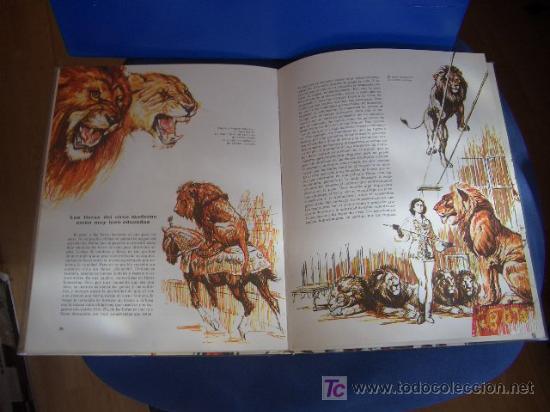 Libros de segunda mano: !VAMOS AL CIRCO!, 1973 - Foto 2