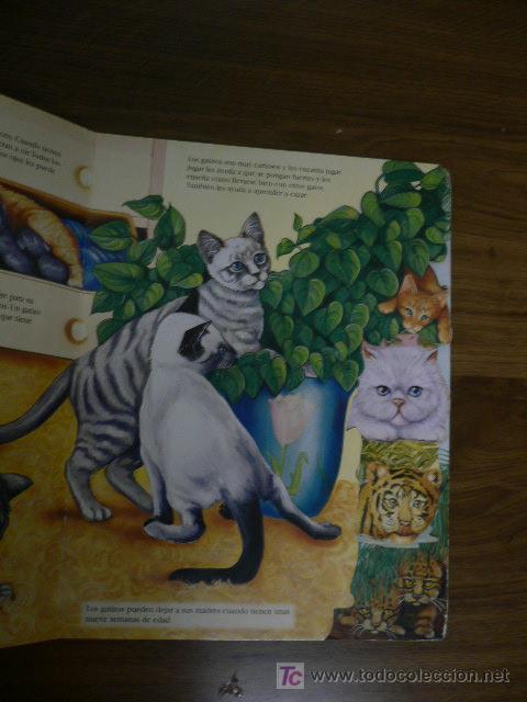 Libros de segunda mano: GATOS Y GATITOS EN CART&Oacute;N - Foto 2