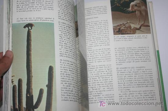Libros de segunda mano: LIBRO DE DISNEY - A&Ntilde;OS 70 - Foto 7