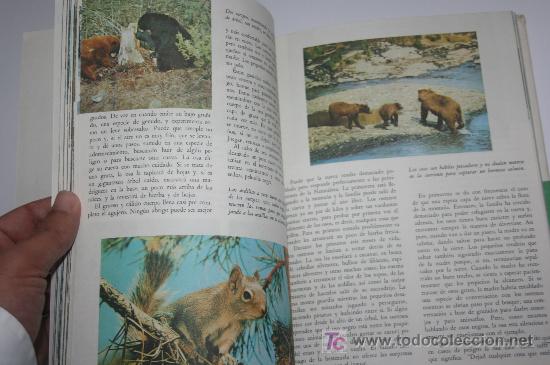 Libros de segunda mano: LIBRO DE DISNEY - A&Ntilde;OS 70 - Foto 5
