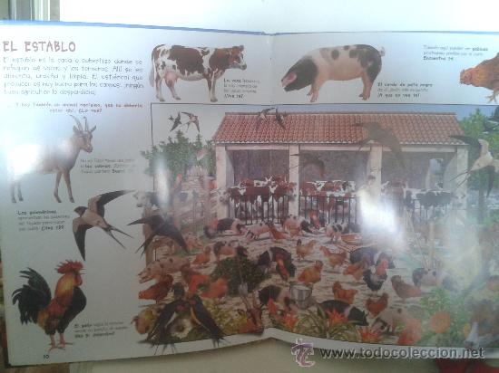 Libros de segunda mano: BUSCA LOS ANIMALES DE LA GRANJA - Foto 2