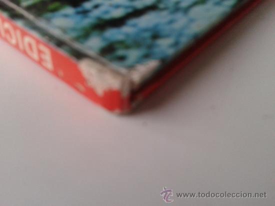 Libros de segunda mano: ORZOWEI - alberto manzi - laida - Foto 5