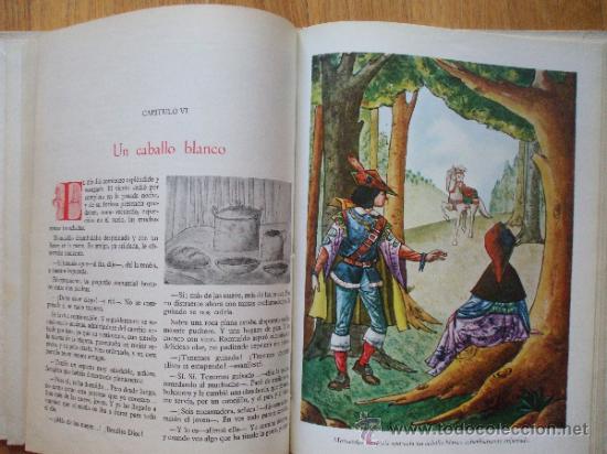 Libros de segunda mano: FLOR DE ALMIQUE, Lucrecia La-Roche - Foto 5