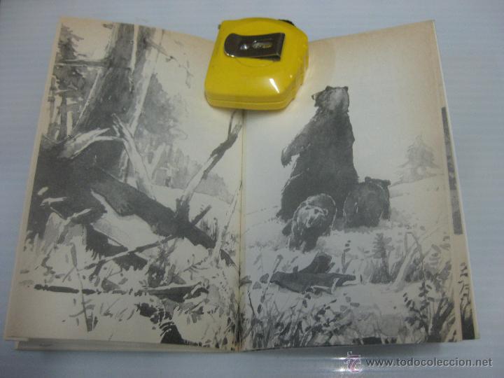 Libros de segunda mano: hermano de los osos. 1&ordm; Edicion - Foto 2