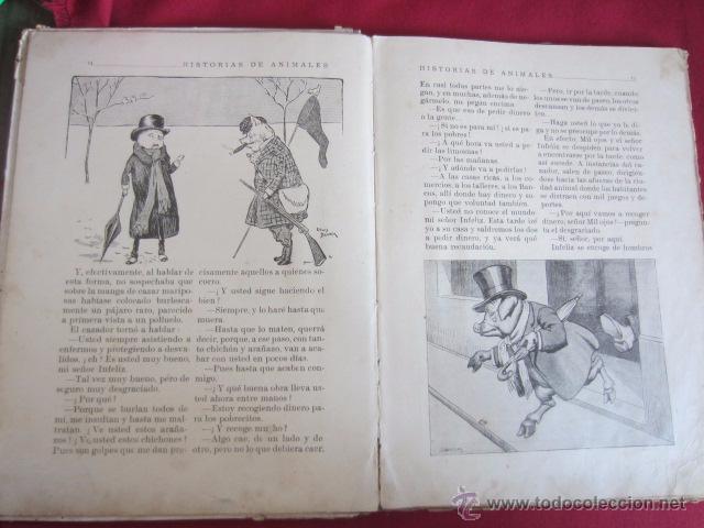 Libros de segunda mano: HISTORIAS DE ANIMALES - 1941 - Foto 4