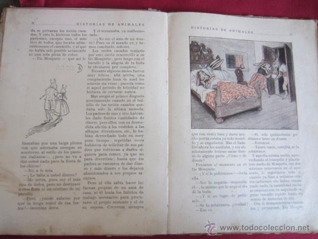Libros de segunda mano: HISTORIAS DE ANIMALES - 1941 - Foto 5