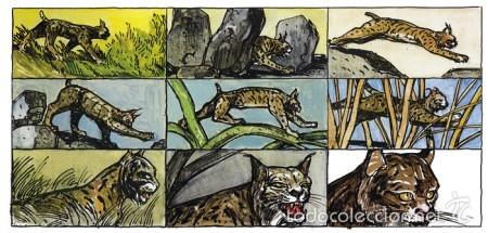 Libros de segunda mano: EL LINCE, EL CAZADOR Y LOS SUE&Ntilde;OS - Foto 4