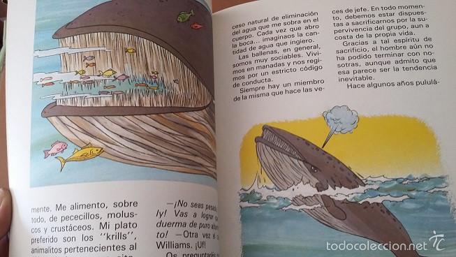 Libros de segunda mano: Cuatro Animales del Mar. Susaeta Ediciones 1983 - Foto 2
