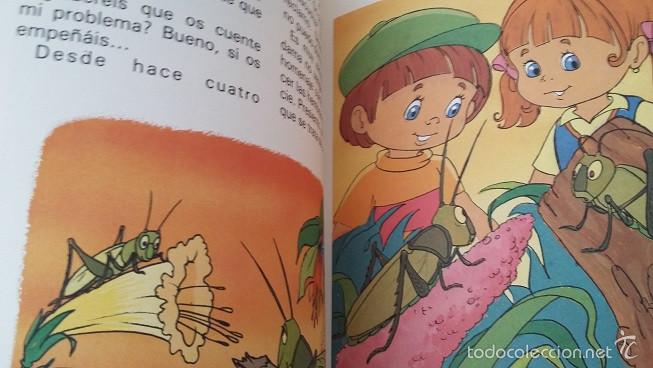 Libros de segunda mano: Cuatro Conocidos Insectos. Susaeta Ediciones. 1983 - Foto 2