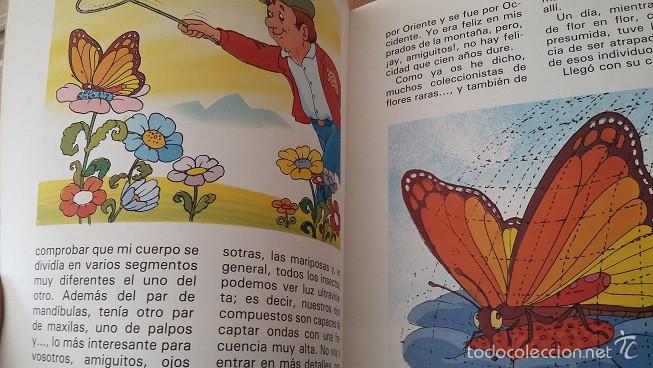 Libros de segunda mano: Cuatro Conocidos Insectos. Susaeta Ediciones. 1983 - Foto 3