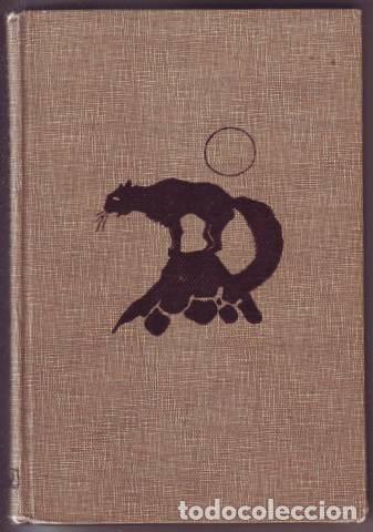 Libros de segunda mano: SANCHEZ TENA, Jes&uacute;s: Tit&iacute;n peluch&iacute;n. 1948 - Foto 1