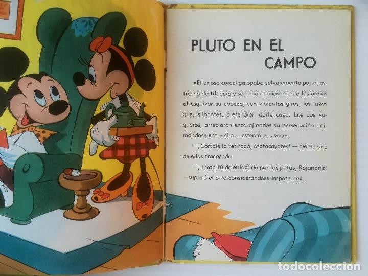 Libros de segunda mano: CUENTO ILUSTRADO. PLUTO EN EL CAMPO. WALT DISNEY. EDITORIAL MOLINO. 1961 - Foto 3