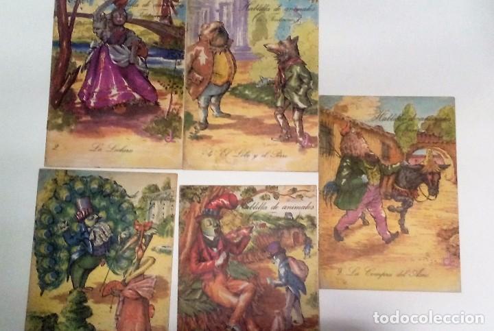 Gebrauchte B&uuml;cher: HABLILLA DE ANIMALES. LOTE DE 5 EJEMPLARES ILUSTRADOS
