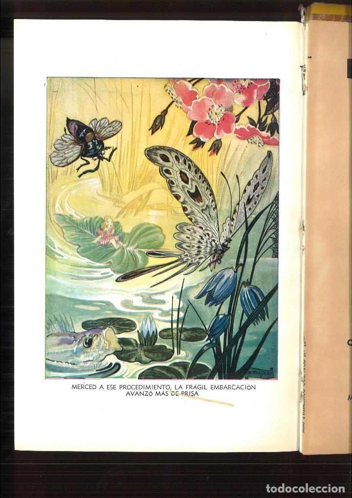 Libros de segunda mano: FLORECILLA. Cuento de Andersen - Foto 4