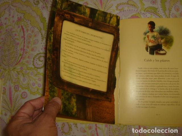 Libros de segunda mano: SAM Y OTROS CUENTOS DE ANIMALES NOAH GORDON - Foto 2