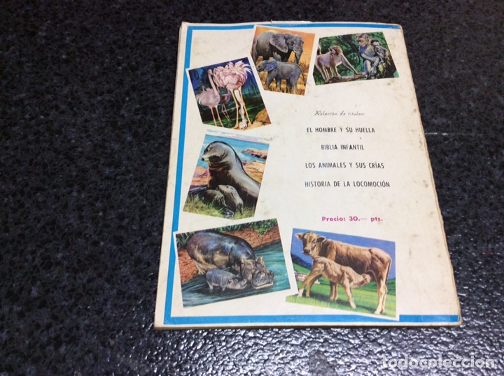 Libros de segunda mano: LOS ANIMALES Y SUS CRIAS - Foto 2